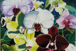 "My ORCHIDS" SOLD